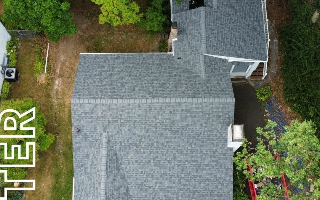 Algae Staining: What Is It and What Does It Mean for Your Roof?