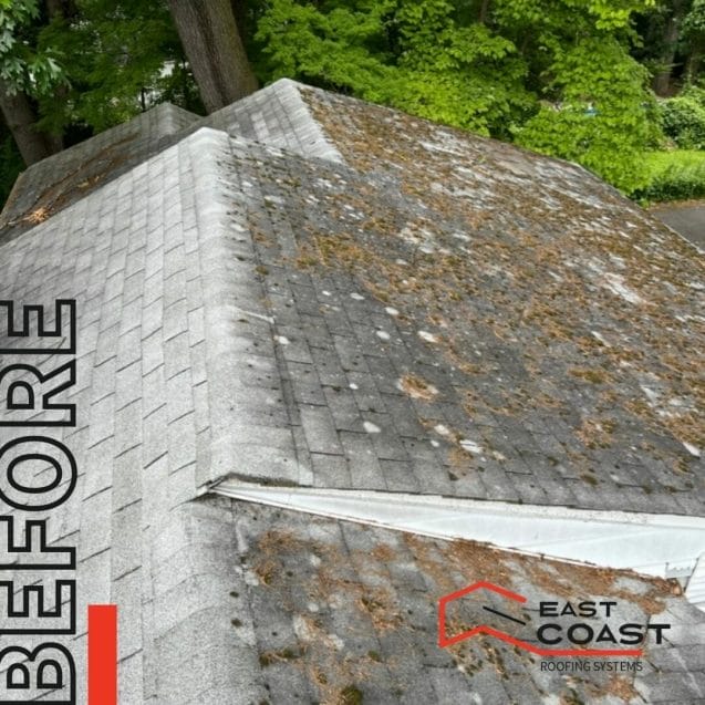 roof maintenance, roof damage, roof algae stains, Montgomery County
