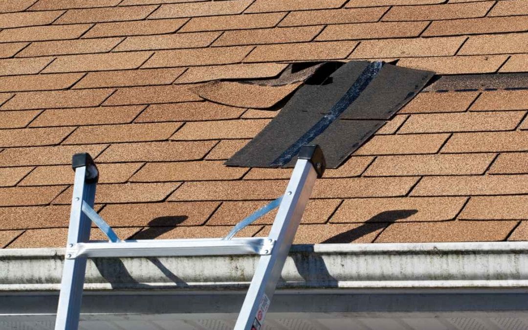 4 Common Spring Roof Problems in Montgomery County (And How to Prevent Them)